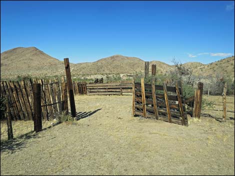 Willow Wash Corral