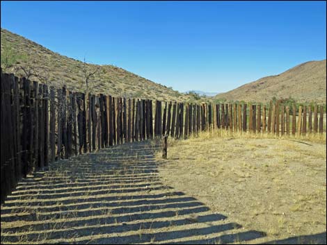 Willow Wash Corral