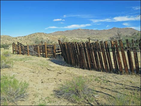 Willow Wash Corral