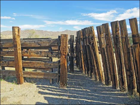 Willow Wash Corral