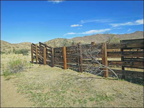 Willow Wash Corral