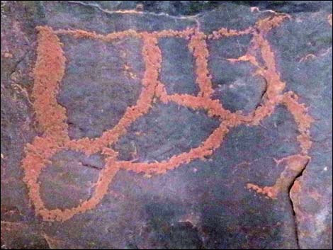 Gold Butte petroglyphs