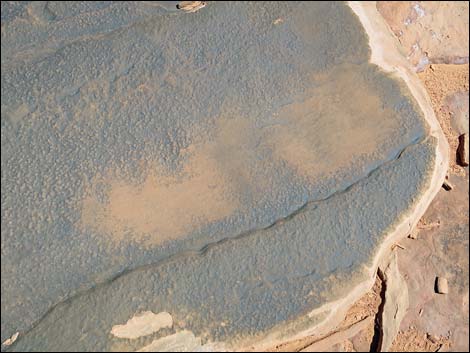 Rock Art Around Gold Butte