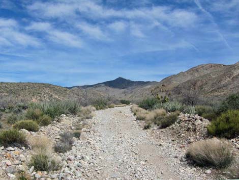 Whitney Wash Loop