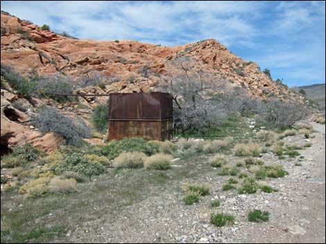 Whitney Wash Loop