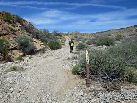 Whitney Wash Loop