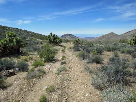 Whitney Wash Loop