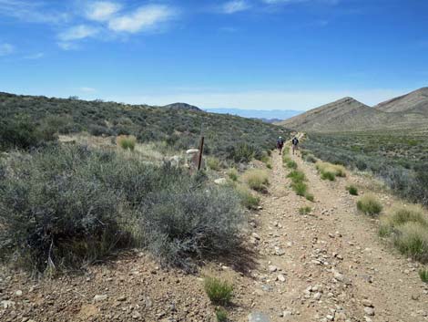 Whitney Wash Loop