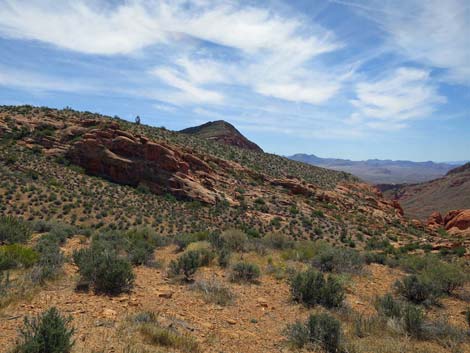 Whitney Wash Loop