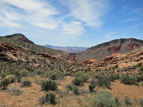 Whitney Wash Loop