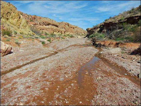 Red Bluff Spring