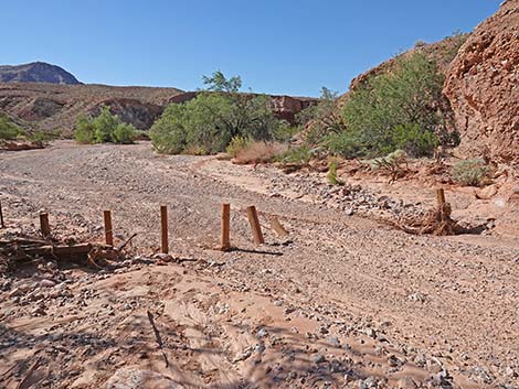 Red Bluff Spring