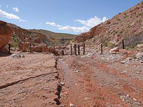 Red Bluff Spring