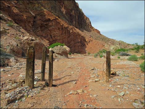 Red Bluff Spring