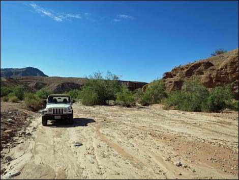 Red Bluff Spring