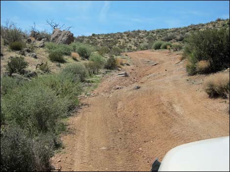 Billy Goat Peak Road