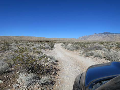 Black Butte Road