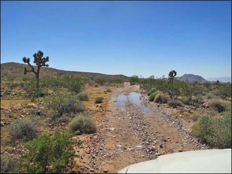 Black Butte Road