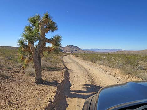 Black Butte Road