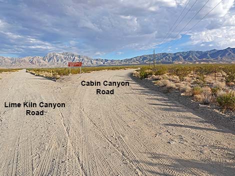 Cabin Canyon Road