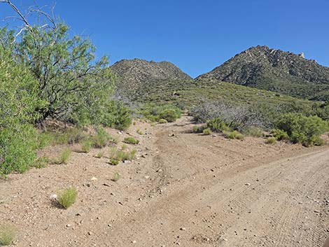 Cabin Canyon Road