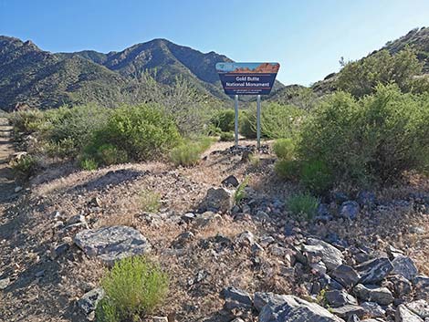 Cabin Canyon Road