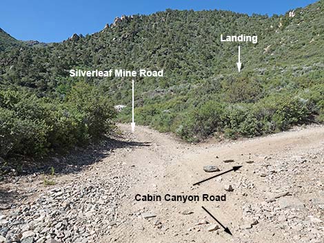 Cabin Canyon Road