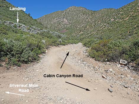 Cabin Canyon Road