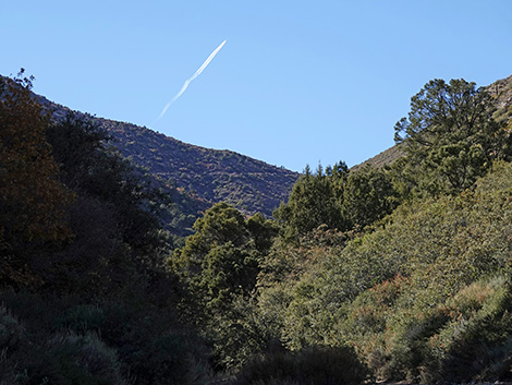 Cabin Canyon Road