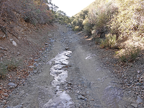 Cabin Canyon Road