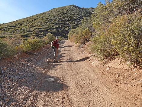 Cabin Canyon Road