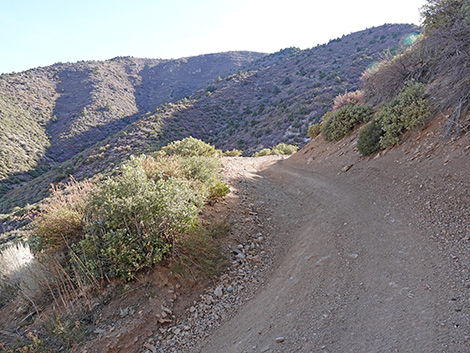 Cabin Canyon Road