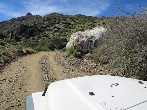 Cabin Canyon Road