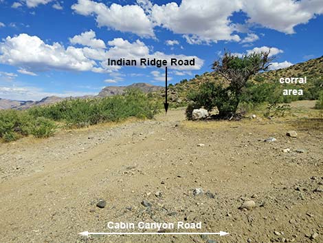 Cabin Canyon Road