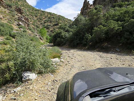 Cabin Canyon Road