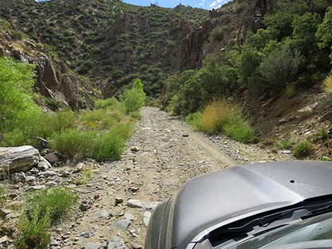 Cabin Canyon Road