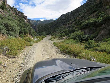 Cabin Canyon Road