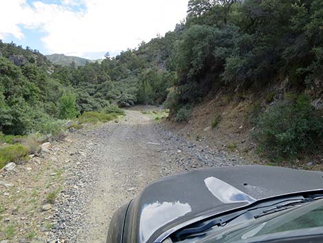 Cabin Canyon Road