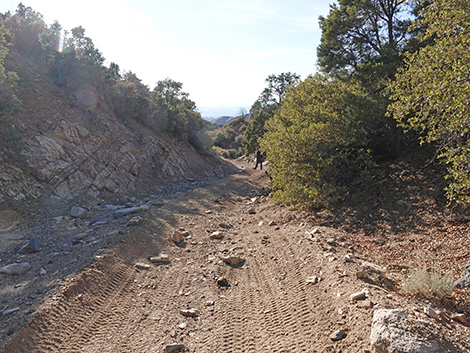 Upper Upper Nickel Canyon Road