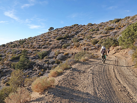 Upper Upper Nickel Canyon Road