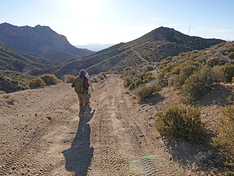 Upper Upper Nickel Canyon Road