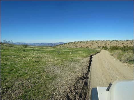 Catclaw Wash Road