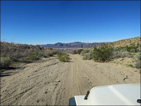 Catclaw Wash Road