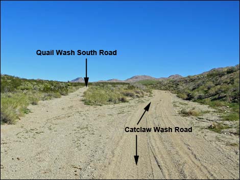 Catclaw Wash Road