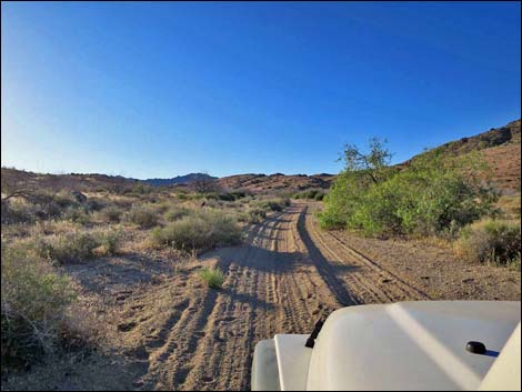 Cedar Basin Road