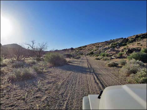 Cedar Basin Road