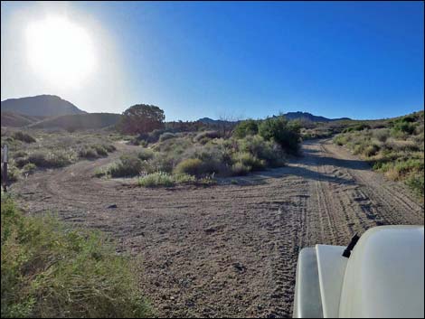 Cedar Basin Road