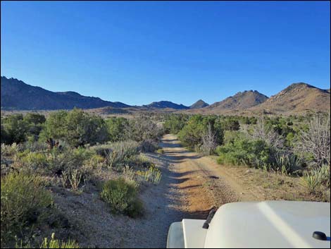 Cedar Basin Road