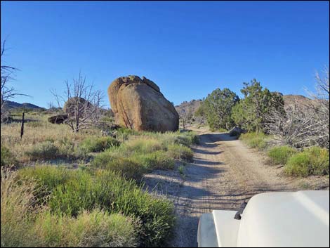 Cedar Basin Road