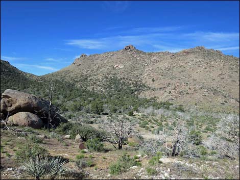 Cedar Basin Road